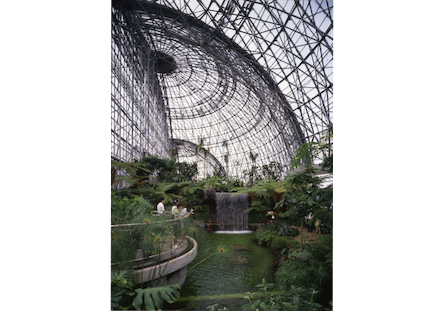 東京都夢の島熱帯植物館 巴コーポレーション100周年特設サイト